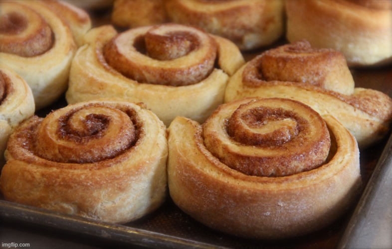 Cinnamon rolls | image tagged in cinnamon rolls | made w/ Imgflip meme maker