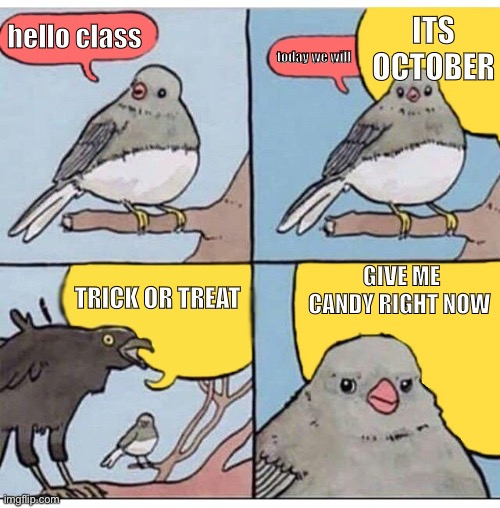 hello class today we will ITS OCTOBER TRICK OR TREAT GIVE ME CANDY RIGHT NOW | image tagged in annoyed bird | made w/ Imgflip meme maker