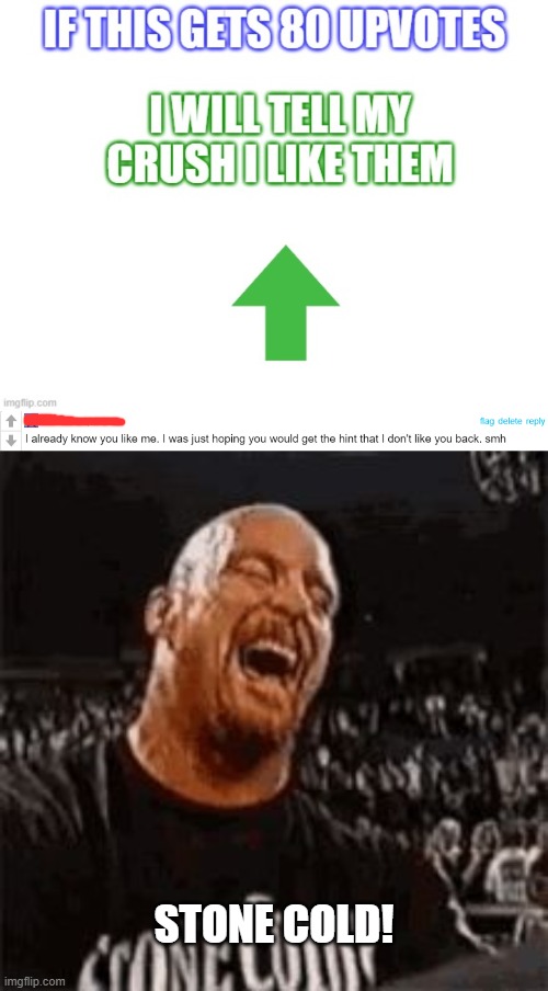 STONE COLD! | image tagged in stone cold laughing | made w/ Imgflip meme maker