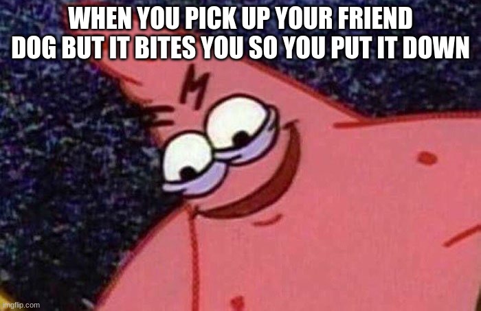 Evil Patrick  | WHEN YOU PICK UP YOUR FRIEND DOG BUT IT BITES YOU SO YOU PUT IT DOWN | image tagged in evil patrick,to put down a dog means to euthanize it | made w/ Imgflip meme maker