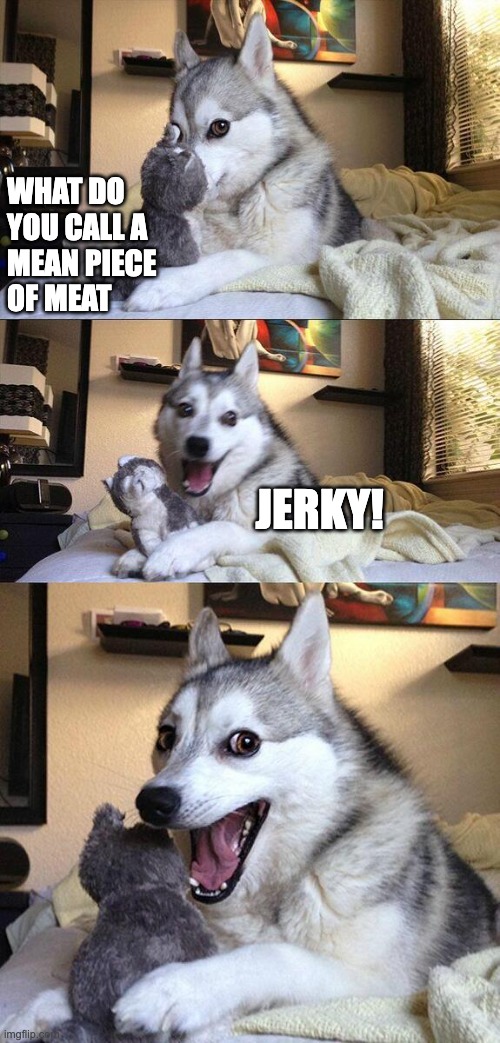 Dogs like jerky | WHAT DO 
YOU CALL A 
MEAN PIECE 
OF MEAT; JERKY! | image tagged in memes,bad pun dog | made w/ Imgflip meme maker