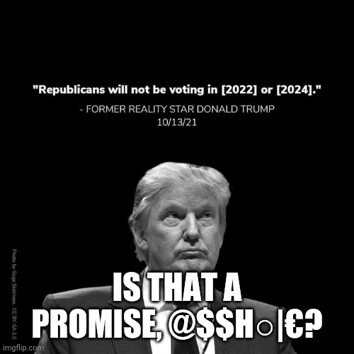 Trump Promises | IS THAT A PROMISE, @$$H○|€? | image tagged in donald trump approves | made w/ Imgflip meme maker