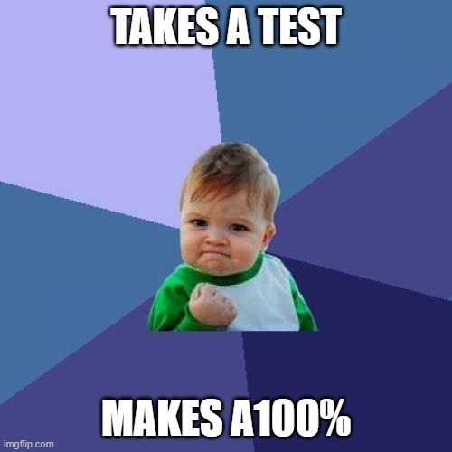 Success Kid | TAKES A TEST; MAKES A100% | image tagged in memes,success kid | made w/ Imgflip meme maker