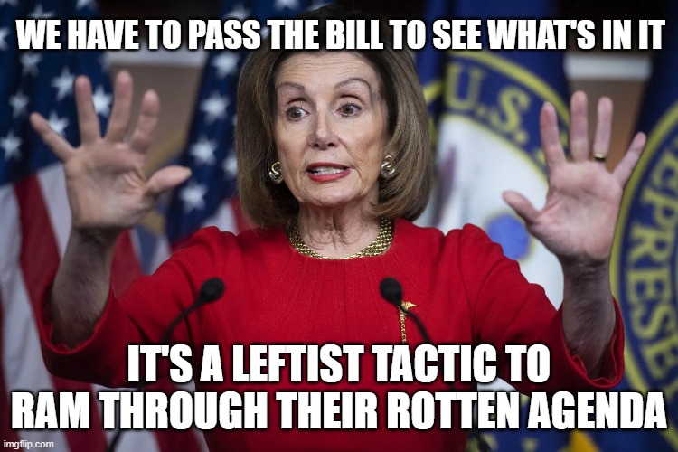 WE HAVE TO PASS THE BILL TO SEE WHAT'S IN IT IT'S A LEFTIST TACTIC TO RAM THROUGH THEIR ROTTEN AGENDA | made w/ Imgflip meme maker