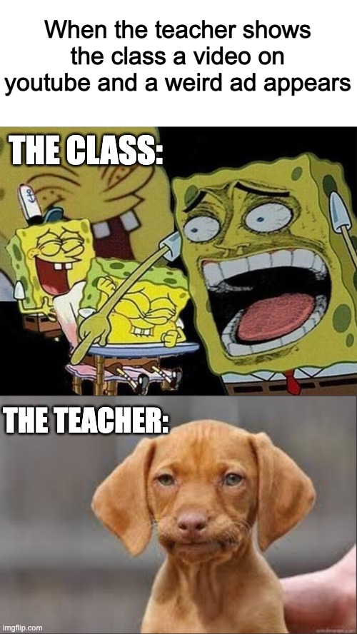When the teacher shows the class a video on youtube and a weird ad appears; THE CLASS:; THE TEACHER: | image tagged in spongebob laughing hysterically,memes,teacher,disappointed dog | made w/ Imgflip meme maker
