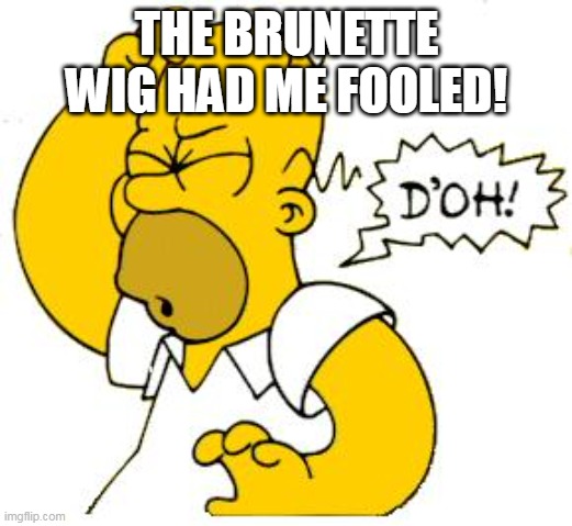 homer doh | THE BRUNETTE WIG HAD ME FOOLED! | image tagged in homer doh | made w/ Imgflip meme maker