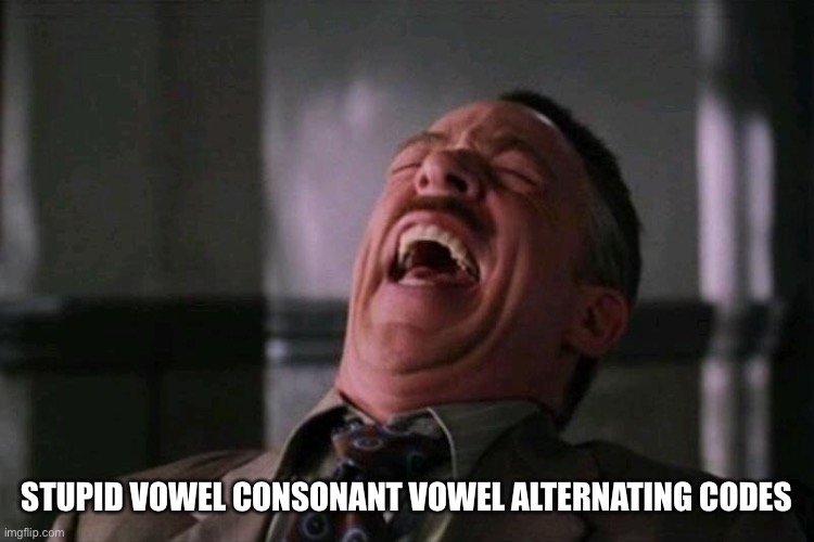 rofl | STUPID VOWEL CONSONANT VOWEL ALTERNATING CODES | image tagged in rofl | made w/ Imgflip meme maker
