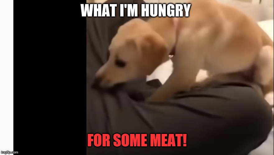 I need some meat | WHAT I'M HUNGRY; FOR SOME MEAT! | image tagged in i need some meat | made w/ Imgflip meme maker