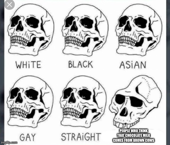 So true dude | PEOPLE WHO THINK THAT CHOCOLATE MILK COMES FROM BROWN COWS | image tagged in white black asian gay straight skull template,oh wow are you actually reading these tags | made w/ Imgflip meme maker
