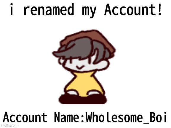Account Renamed! | i renamed my Account! Account Name:Wholesome_Boi | image tagged in oh wow are you actually reading these tags,wow this is garbage you actually like this,account | made w/ Imgflip meme maker