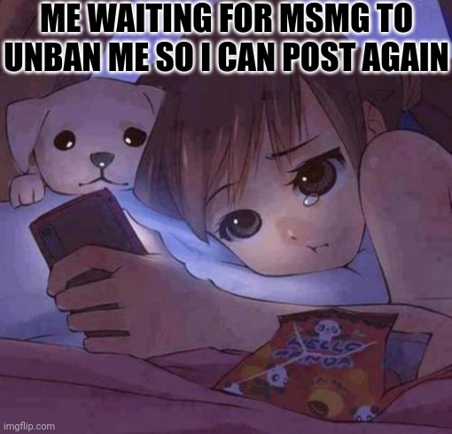 Seriously can they just unban me already I just want to come back | ME WAITING FOR MSMG TO UNBAN ME SO I CAN POST AGAIN | image tagged in sad anime | made w/ Imgflip meme maker