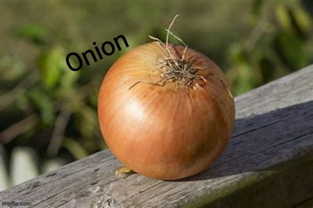 Onion | image tagged in onion | made w/ Imgflip meme maker