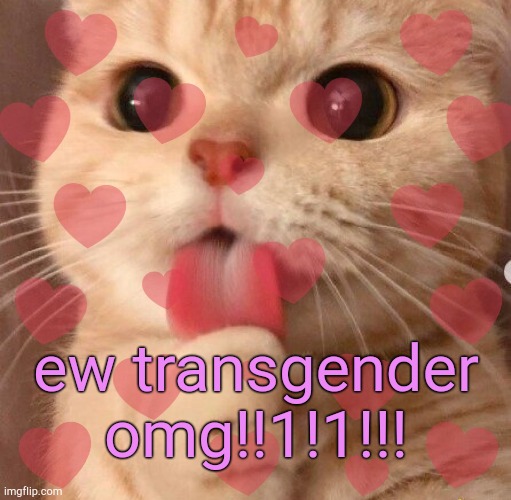 . | ew transgender omg!!1!1!!! | image tagged in tell me about it | made w/ Imgflip meme maker