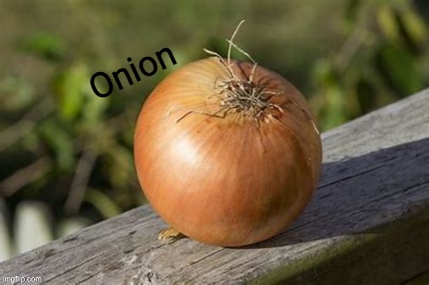 Onion | image tagged in onion | made w/ Imgflip meme maker