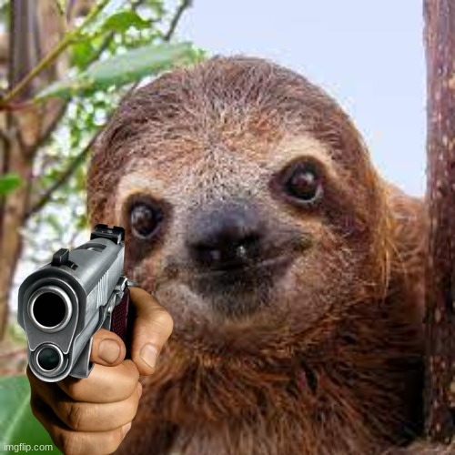 Please make this a new meme | image tagged in sloth,funny memes,guns | made w/ Imgflip meme maker
