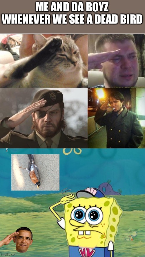 Paying respect 2 our fallen comrade | ME AND DA BOYZ WHENEVER WE SEE A DEAD BIRD | image tagged in ozon's salute,spongebob salute | made w/ Imgflip meme maker