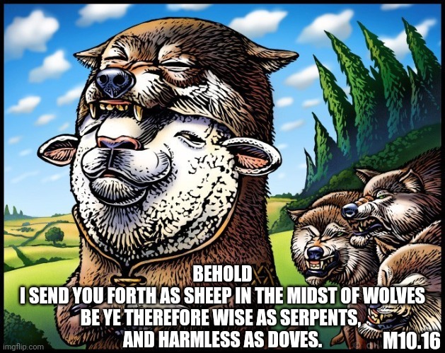The harvest rots upon the vine | BEHOLD
I SEND YOU FORTH AS SHEEP IN THE MIDST OF WOLVES
BE YE THEREFORE WISE AS SERPENTS, 
AND HARMLESS AS DOVES. M10.16 | image tagged in sheep in wolves clothing,jesus,help me,please | made w/ Imgflip meme maker