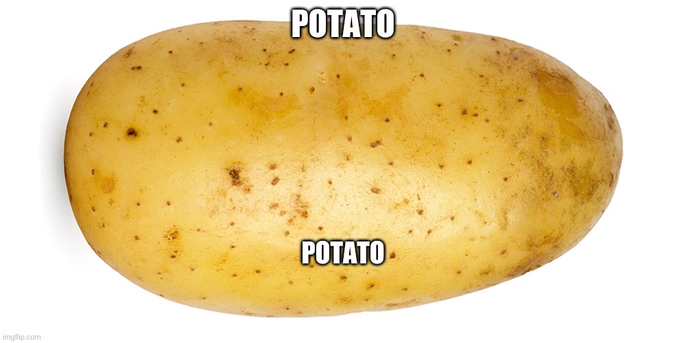 potato | POTATO; POTATO | image tagged in potato | made w/ Imgflip meme maker