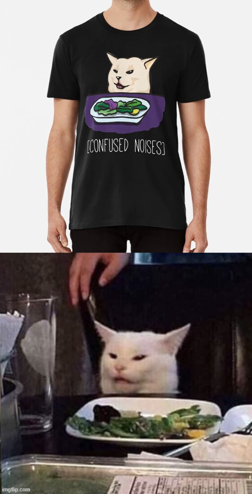 We found the cat | image tagged in woman yelling at cat | made w/ Imgflip meme maker