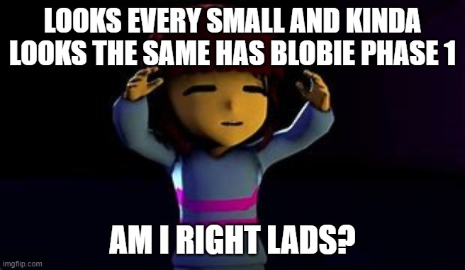 Am I right lads or, am I right lads | LOOKS EVERY SMALL AND KINDA LOOKS THE SAME HAS BLOBIE PHASE 1 AM I RIGHT LADS? | image tagged in am i right lads or am i right lads | made w/ Imgflip meme maker