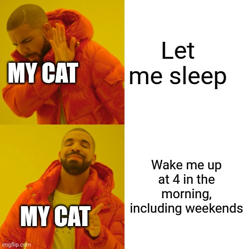 I hate it when my cat does this | Let me sleep; MY CAT; Wake me up at 4 in the morning, including weekends; MY CAT | image tagged in memes,drake hotline bling | made w/ Imgflip meme maker