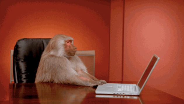 High Quality Monkey Computer Blank Meme Template