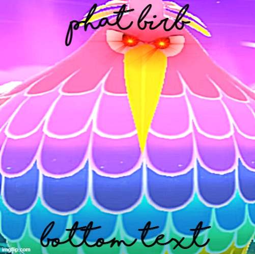 p h a t b i r b | phat birb; bottom text | image tagged in memes,funny,birb,lets make dream team relevant again shall we | made w/ Imgflip meme maker