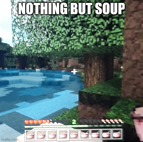 Good soup | NOTHING BUT SOUP | image tagged in soup,gaming,minecraft | made w/ Imgflip meme maker