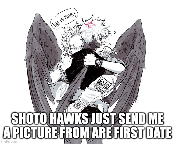 SHOTO HAWKS JUST SEND ME A PICTURE FROM ARE FIRST DATE | made w/ Imgflip meme maker