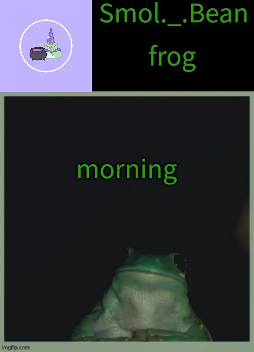 Beans frog temp | morning | image tagged in beans frog temp | made w/ Imgflip meme maker