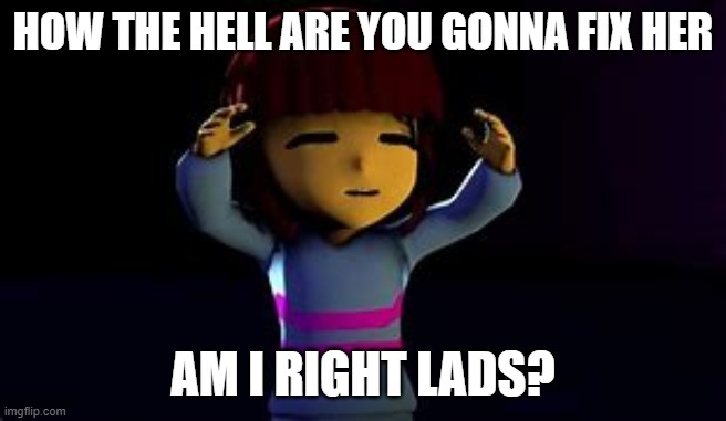 Am I right lads or, am I right lads | HOW THE HELL ARE YOU GONNA FIX HER AM I RIGHT LADS? | image tagged in am i right lads or am i right lads | made w/ Imgflip meme maker