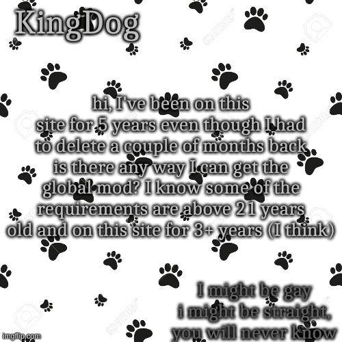 i dont know ive just been here for a while | hi, I've been on this site for 5 years even though I had to delete a couple of months back is there any way I can get the global mod? I know some of the requirements are above 21 years old and on this site for 3+ years (I think) | image tagged in kingdog | made w/ Imgflip meme maker