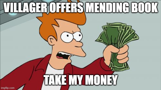 Shut Up And Take My Money Fry Meme | VILLAGER OFFERS MENDING BOOK TAKE MY MONEY | image tagged in memes,shut up and take my money fry | made w/ Imgflip meme maker