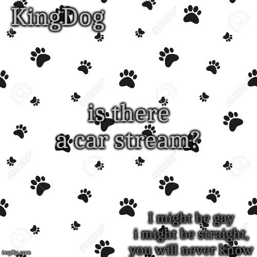 KingDog | is there a car stream? | image tagged in kingdog | made w/ Imgflip meme maker