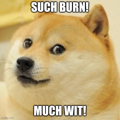 wow doge | SUCH BURN! MUCH WIT! | image tagged in wow doge | made w/ Imgflip meme maker