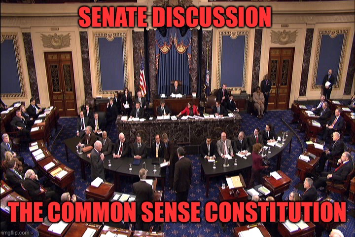 This is a Senate discussion, not a vote. The purpose of the discussion is to make suggestions | SENATE DISCUSSION; THE COMMON SENSE CONSTITUTION | image tagged in senate floor | made w/ Imgflip meme maker