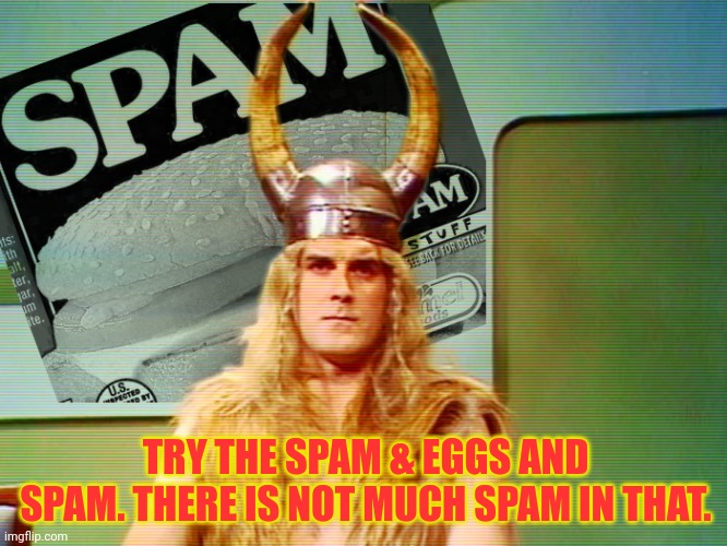 Monty Python Spam | TRY THE SPAM & EGGS AND SPAM. THERE IS NOT MUCH SPAM IN THAT. | image tagged in monty python spam | made w/ Imgflip meme maker