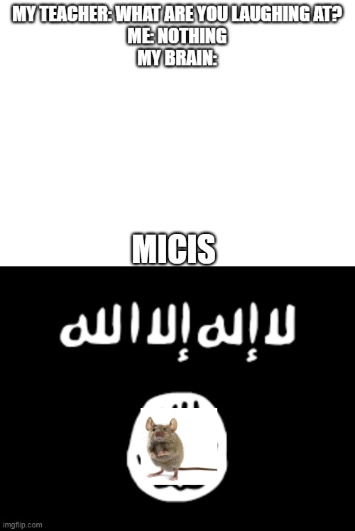  MY TEACHER: WHAT ARE YOU LAUGHING AT?
ME: NOTHING
MY BRAIN:; MICIS | image tagged in blank white template,isis,isis joke,no racism | made w/ Imgflip meme maker