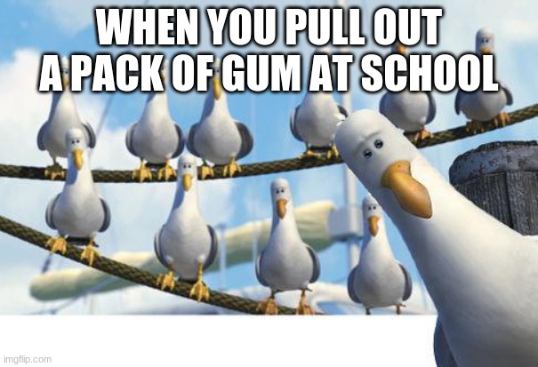 gum | WHEN YOU PULL OUT A PACK OF GUM AT SCHOOL | image tagged in seagulls | made w/ Imgflip meme maker