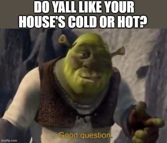 I like it really cold and if anyone turns on the heat they die ._. |  DO YALL LIKE YOUR HOUSE'S COLD OR HOT? | image tagged in shrek good question | made w/ Imgflip meme maker