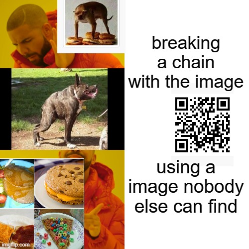 Drake Hotline Bling Meme | breaking a chain with the image; using a image nobody else can find | image tagged in memes,drake hotline bling | made w/ Imgflip meme maker