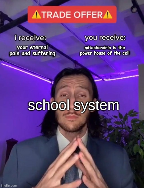 Trade Offer | your eternal pain and suffering; mitochondria is the power house of the cell; school system | image tagged in trade offer | made w/ Imgflip meme maker