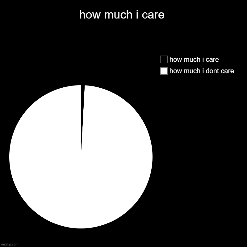 how much i actually care | how much i care | how much i dont care, how much i care | image tagged in charts,pie charts | made w/ Imgflip chart maker