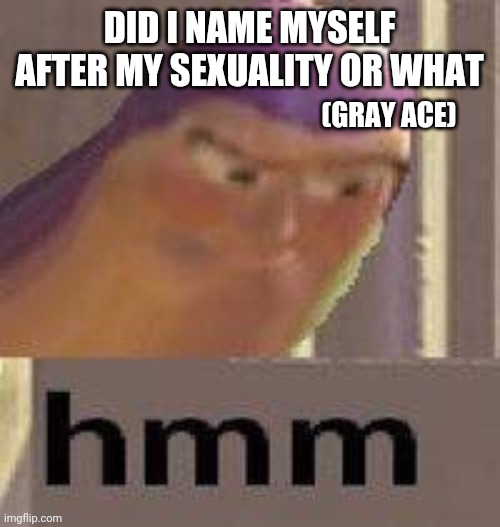 My name is Grayson | DID I NAME MYSELF AFTER MY SEXUALITY OR WHAT; (GRAY ACE) | image tagged in buzz lightyear hmm | made w/ Imgflip meme maker