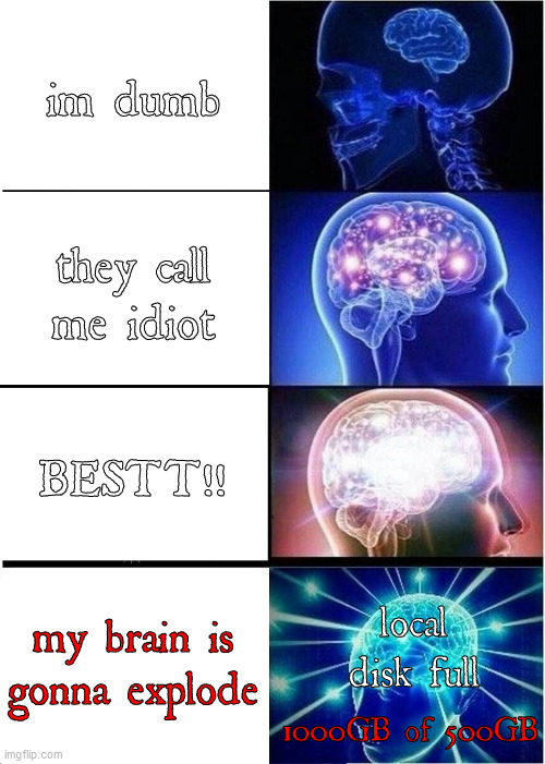 something idk (im not dumb ok) | im dumb; they call me idiot; BESTT!! my brain is gonna explode; local disk full; 1000GB of 500GB | image tagged in memes,expanding brain | made w/ Imgflip meme maker