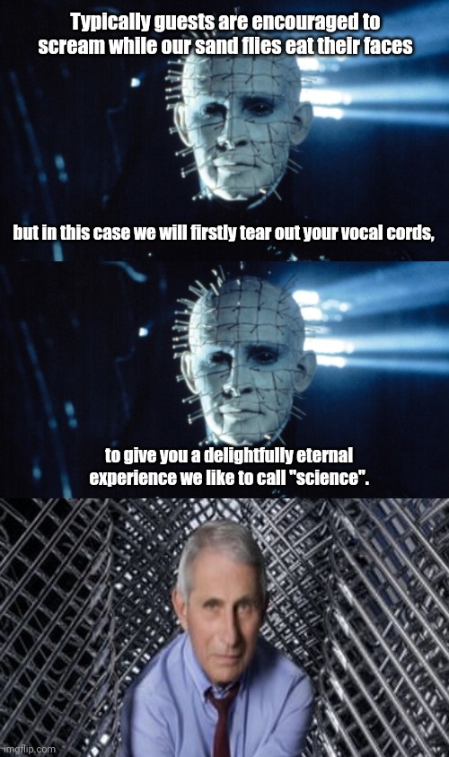 Dr. Fauci's scientific curiosity leads him to unlock the LeMarchand puzzle box | Typically guests are encouraged to scream while our sand flies eat their faces; but in this case we will firstly tear out your vocal cords, to give you a delightfully eternal experience we like to call "science". | image tagged in hellraiser's pinhead,hellraiser,dr fauci,fauci lied puppies died,fake science,karma's a bitch | made w/ Imgflip meme maker