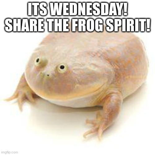 happy wednesday | ITS WEDNESDAY!
SHARE THE FROG SPIRIT! | image tagged in wednesday frog blank | made w/ Imgflip meme maker