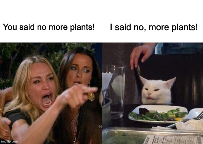 More Plants | You said no more plants! I said no, more plants! | image tagged in memes,woman yelling at cat | made w/ Imgflip meme maker