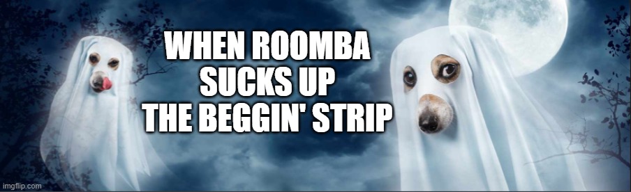 Ghost Dog |  WHEN ROOMBA SUCKS UP THE BEGGIN' STRIP | image tagged in roomba,dog,halloween,dog treat,funny dog,ghost dog | made w/ Imgflip meme maker