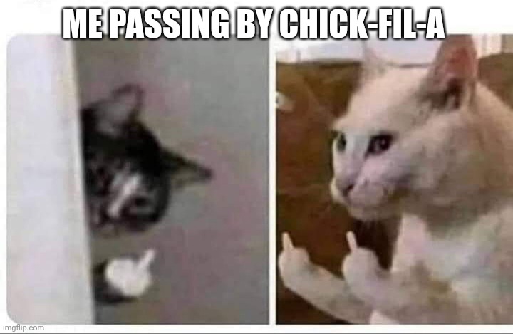 ME PASSING BY CHICK-FIL-A | image tagged in funny cats | made w/ Imgflip meme maker